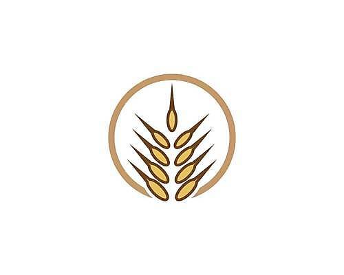 EPS 해외이미지 식물 디자인 배너 음식 빵 백그라운드 농업 다이어트 일러스트 자연 밥 건조 건강 옥수수 씨앗 농작물 농장 노란색 라벨 수확 성장 흰색 신선 시장 황금 상품 낟알 시리얼 밀 먹기 심볼 사인 유기농 보리 귀 밀가루 스파이크 내추럴 고립 밭일 엘리먼트 귀리 해외일러스트 웰빙 산업 컬러 모션 곡류 프레임 신체부위 가루 생태계 파일형식 벡터 이미지허브