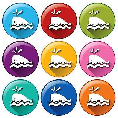 EPS 해외이미지 파도 여러마리 일러스트 어류 사람없음 세트 원형 고래 해외일러스트 도형 바다 다수 포유류 수중동물 파일형식 벡터 이미지허브