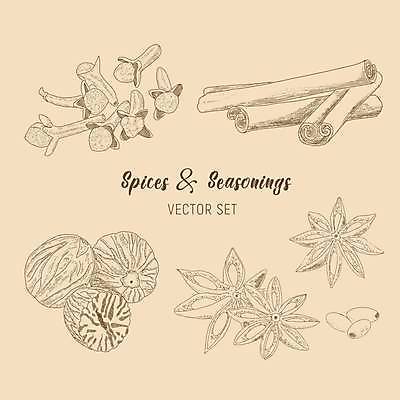 EPS 해외이미지 라인일러스트 일러스트 사람없음 향신료 잣 베이지색 시나몬 시나몬스틱 팔각회향 해외일러스트 컬러 견과류 향미료 파일형식 벡터 이미지허브