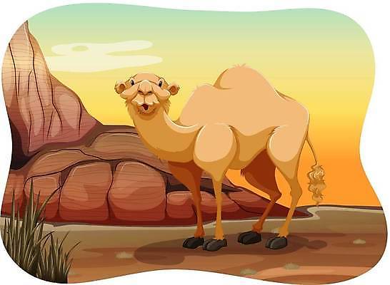 EPS 해외이미지 클립아트 동물 캐릭터 야생동물 모래 일러스트 포유류 자연 생물 풍경 야외 그래픽 사막 흰색 황무지 만화 흰배경 그림 육식동물 장면 낙타 멸종 리빙 혹 내추럴 고립 땅바닥 이국적 해외일러스트 일러캐릭터 컬러 백그라운드 바닥 생태계 파일형식 벡터 이미지허브