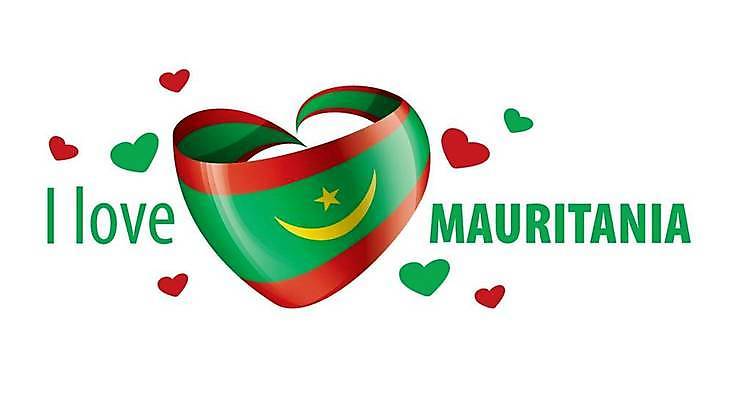 EPS 해외이미지 전통 배너 리본 섬 여행 백그라운드 일러스트 아프리카 휴가 사랑 그래픽 세계 여행객 줄무늬 자유 흰색 하트 축하 깃발 천 심볼 사인 신분 테이프 깃대 봉 고립 공화국 엘리먼트 전국 정치 지리 표준 해외일러스트 모양 감정 나라 컬러 컨셉 무늬 문구용품 사람 직물 파일형식 벡터 이미지허브