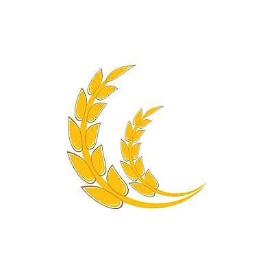 EPS 해외이미지 식물 디자인 음식 빵 농업 일러스트 자연 밥 씨앗 농작물 농장 수확 성장 낟알 시리얼 밀 심볼 사인 보리 귀 내추럴 고립 밭일 엘리먼트 호밀 해외일러스트 산업 곡류 신체부위 생태계 파일형식 벡터 사람 이미지허브