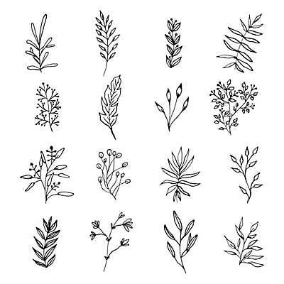 EPS 해외이미지 식물 꽃 라인일러스트 일러스트 사람없음 검은색 다양 풀잎 해외일러스트 컬러 다수 잎 풀_식물 파일형식 벡터 이미지허브