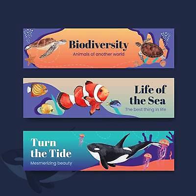 EPS 해외이미지 템플릿 배너 가로배너 바다 하늘색 여러마리 일러스트 조개 사람없음 주황색 바닷속 수중동물 열대어 해파리 바다거북 범고래 흰동가리 배너세트 해외일러스트 동물 컬러 다수 어패류 어류 가로 파란색 세트 수중 자포동물 거북이 고래 파일형식 벡터 이미지허브