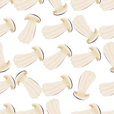 EPS 해외이미지 식물 모자 잡화 음식 조각 백그라운드 패턴 농업 채소 과일 일러스트 자연 추상 농작물 농장 갈색 식사 버섯 샐러드 수확 가을 흰색 신선 상품 인쇄 만화 먹기 메뉴 레이아웃 날것 내추럴 고립 곰팡이 그물버섯 밭일 숙성 채식주의자 캡모자 반복 개조 비건 해외일러스트 모자_잡화 계절 산업 컬러 무늬 모션 생태계 채식 파일형식 벡터 이미지허브