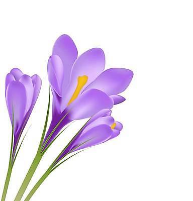 EPS 해외이미지 식물 계절 꽃잎 꽃 줄기 꽃다발 백그라운드 잎 일러스트 자연 초록색 파란색 농작물 머리 보라색 봄 들꽃 벚꽃 흰색 꽃술 시골 투명 우아함 작음 자주색 자르기 오브젝트 싱글 장면 붓꽃 고립 해외일러스트 컬러 컨셉 농업 모션 신체부위 크기 생태계 파일형식 벡터 이미지허브