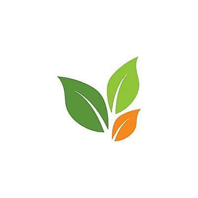 EPS 해외이미지 선 백그라운드 컨셉 잎 꽃무늬 일러스트 회사 비즈니스 자연 추상 건강 미술 초록색 환경 재활용 성장 신선 플랫 에코 유기농 생태계 생물학 바둑 내추럴 돌봄 바이오 생태학 브랜딩 해외일러스트 식물 웰빙 교육 꽃 컬러 무늬 모션 놀이 문화예술 친환경 파일형식 벡터 이미지허브