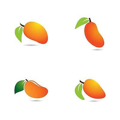 EPS 해외이미지 디자인 음식 조각 잎 다이어트 과일 일러스트 자연 디저트 수채화 건강 초록색 컬러풀 노란색 식사 주스 흰색 신선 달콤 낙서 만화 오브젝트 유기농 망고 비타민 내추럴 고립 숙성 이국적 채식주의자 맛있는 해외일러스트 식물 웰빙 음료 컬러 맛 열대과일 생태계 채식 영양소 파일형식 벡터 컨셉 이미지허브