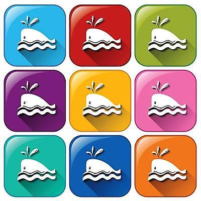EPS 해외이미지 일러스트 버튼 사람없음 컬러풀 고래 해외일러스트 컬러 포유류 수중동물 파일형식 벡터 이미지허브