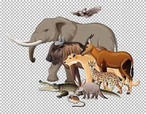 EPS 해외이미지 클립아트 나무 식물 동물 야생동물 이동 일러스트 포유류 파충류 아프리카 자연 코끼리 생물 동물원 미술 야외 환경 고양이 그룹 숲 사자 왕 만화 수집 사파리 클립 육식동물 악어 박쥐 사냥꾼 리빙 내추럴 고립 동물상 사바나 시리즈 해외일러스트 직업 나라 컨셉 문화예술 반려동물 조형물 생태계 파일형식 벡터 이미지허브