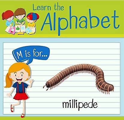 EPS 해외이미지 전신 영어 여자 남자 어린이 말풍선 일러스트 영어교육 소년 여러명 상반신 단어 학습 벌레 손인사 다리들기 단어공부 어린이만 단어장 해외일러스트 문자 교육 다수 곤충 모션 사람 공책 인사 파일형식 벡터 이미지허브