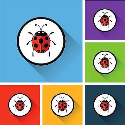 EPS 해외이미지 디자인 곤충 일러스트 자연 그림자 빨간색 웹 흰색 플랫 벌레 딱정벌레 심볼 무당벌레 해외일러스트 동물 컬러 인터넷 생태계 파일형식 벡터 이미지허브