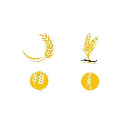 EPS 해외이미지 식물 디자인 음식 빵 농업 일러스트 자연 밥 씨앗 농작물 농장 수확 성장 낟알 시리얼 밀 심볼 사인 보리 귀 내추럴 고립 밭일 엘리먼트 호밀 해외일러스트 산업 곡류 신체부위 생태계 파일형식 벡터 이미지허브