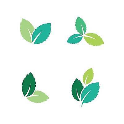 EPS 해외이미지 식물 디자인 실루엣 백그라운드 잎 2 일러스트 초록색 검은색 흰색 신선 플랫 시원함 민트 허브 심볼 에코 유기농 윤곽 향 내추럴 고립 엘리먼트 스피아민트 해외일러스트 웰빙 컬러 촬영기법 환경 파일형식 벡터 이미지허브