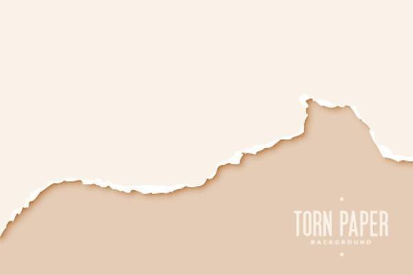 EPS 해외이미지 종이 백그라운드 일러스트 사람없음 손상 찢어짐 살구색 카피스페이스 효과 해외일러스트 컬러 컨셉 모션 공백 파일형식 벡터 이미지허브