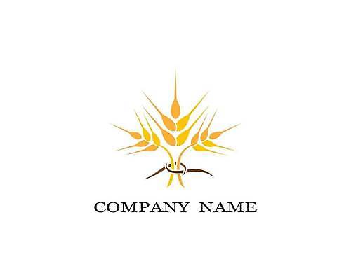 EPS 해외이미지 식물 디자인 배너 음식 빵 백그라운드 농업 다이어트 일러스트 자연 밥 건조 건강 옥수수 씨앗 농작물 농장 노란색 라벨 수확 성장 신선 시장 황금 상품 낟알 시리얼 밀 먹기 심볼 사인 유기농 보리 밀가루 스파이크 내추럴 고립 밭일 엘리먼트 귀리 해외일러스트 웰빙 산업 컬러 모션 곡류 프레임 가루 생태계 파일형식 벡터 이미지허브