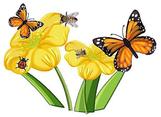 EPS 해외이미지 클립아트 식물 동물 꽃 야생동물 나비 곤충 백그라운드 일러스트 포유류 자연 생물 미술 풍경 야외 그래픽 환경 정원 흰색 닫기 벌레 작음 만화 벌 딱정벌레 오브젝트 그림 에코 클립 무당벌레 장면 리빙 내추럴 고립 동물상 엘리먼트 해외일러스트 컬러 모션 문화예술 조형물 크기 생태계 파일형식 벡터 이미지허브