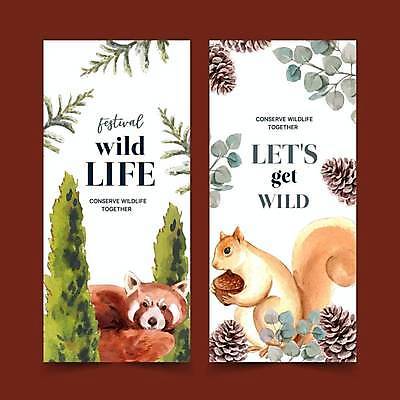 EPS 해외이미지 나무 템플릿 야생동물 두마리 일러스트 자연 나뭇잎 사람없음 소나무 다람쥐 도토리 솔방울 레서판다 해외일러스트 식물 동물 잎 2 포유류 견과류 설치류 생태계 파일형식 벡터 이미지허브