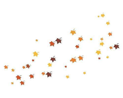 EPS 해외이미지 단풍 낙엽 잎 일러스트 사람없음 오브젝트 엘리먼트 해외일러스트 식물 파일형식 벡터 이미지허브