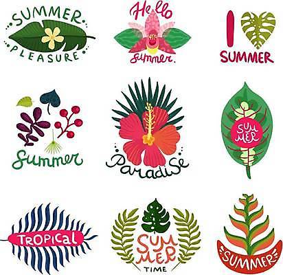 EPS 해외이미지 일러스트 사람없음 세트 라벨 열대꽃 열대잎 히비스커스 트로피컬아트 해외일러스트 꽃 잎 프레임 그림 파일형식 벡터 이미지허브