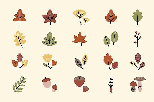 EPS 해외이미지 식물 꽃 백그라운드 단풍 잎 일러스트 사람없음 세트 버섯 그림 은행잎 도토리 해외일러스트 견과류 파일형식 벡터 이미지허브
