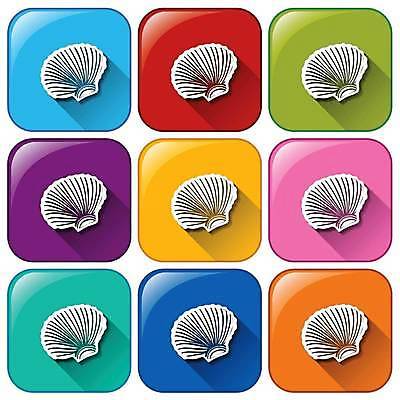 EPS 해외이미지 일러스트 버튼 조개 사람없음 컬러풀 조개껍데기 해외일러스트 컬러 어패류 파일형식 벡터 이미지허브