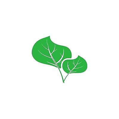EPS 해외이미지 디자인 음식 백그라운드 컨셉 잎 일러스트 비즈니스 자연 추상 건강 그래픽 초록색 식당 봄 신선 원형 심볼 메뉴 에코 유기농 내추럴 고립 생태학 채식주의자 비건 해외일러스트 도형 식물 웰빙 계절 교육 컬러 무늬 환경 상점 생태계 채식 파일형식 벡터 이미지허브