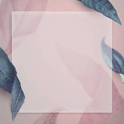 EPS 해외이미지 분홍색 잎 일러스트 사각프레임 사람없음 정사각형 보테니컬아트 해외일러스트 도형 식물 컬러 프레임 사각형 파일형식 벡터 이미지허브