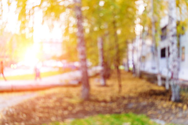 포토 JPG 해외이미지 나무 식물 계절 백그라운드 컨셉 단풍 잎 오렌지 자연 벽지 추상 한명 장식 빨간색 빛 컬러풀 햇빛 태양 노란색 활발 황금 소프트포커스 숲 11월 질감 보케 10월 내추럴 블러 해외포토 자연요소 1 컬러 무늬 과일 촬영기법 사람 날짜 생태계 파일형식 이미지허브