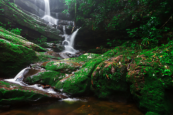 포토 JPG 해외이미지 나무 식물 아시아 여행 태국 자연 산 이끼 사람없음 초록색 물 달리기 봄 트래킹 폭포 젖음 촉촉함 흐름 신선 개울 해조류 붓기 숲 단계 전국 특별함 해외포토 자연요소 계절 나라 컬러 컨셉 모션 레저 강 해양식물 생태계 파일형식 이미지허브