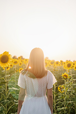 포토 JPG 해외이미지 여자 꽃밭 해바라기 한명 풍경 상반신 성인 야외 뒷모습 여름 햇빛 일몰 성인여자한명만 해외포토 1 계절 꽃 뷰포인트 사람 태양 노을 여자한명만 성인여자만 파일형식 이미지허브