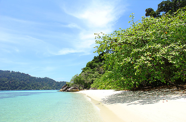 포토 JPG 해외이미지 나무 모래 바다 섬 여행 백그라운드 잎 태국 자연 하늘 사람없음 야외 초록색 물 파란색 모래사장 뷰티 평화 맑음 놀람 낭만 만 뜨거움 서핑 장면 석호 내추럴 터키석 파라다이스 수평선 해외포토 자연요소 식물 감정 아시아 컬러 컨셉 날씨 표정 수상스포츠 보석 생태계 파일형식 이미지허브