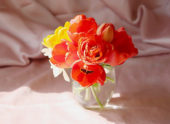 포토 JPG 해외이미지 여러송이 실내 사람없음 꽃병 튤립 해외포토 꽃 다수 내부 파일형식 이미지허브