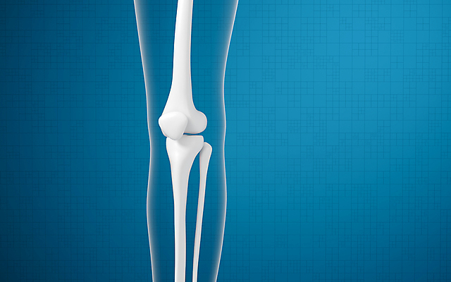 JPG 해외이미지 의학 사람없음 파란색 3D 관절뼈 다리뼈 해외포토 포토 컬러 뼈 디지털합성 파일형식 이미지허브