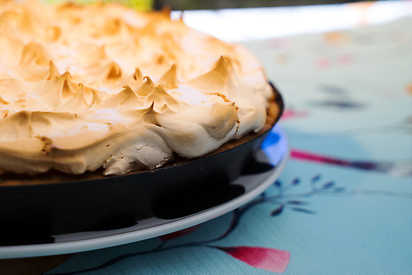 포토 JPG 해외이미지 전통 식기 접시 백그라운드 오렌지 탁자 디저트 귤 사탕 요리 사람없음 야외 장식 파티 케이크 정원 얼음 축제 껍질 축하 신선 생일 달콤 굽기 먹기 뿌리기 가득함 크림 부드러움 라임 점심식사 머랭 무스 바닐라 뷔페 타르트 페스츄리 핸드메이드 맛있는 해외포토 자연요소 기념일 음식 빵 가구 컨셉 과일 모션 이벤트 식사 감각 맛 구이 파이_빵 파일형식 이미지허브