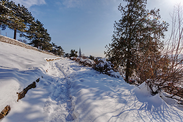 포토 JPG 해외이미지 계절 공원 도로 길 겨울 자국 자연 날씨 사람없음 야외 빛 뷰티 냉동 하이킹 추위 흰색 소나무 숲 선로 전국 눈내림 해외포토 나무 공공시설 컬러 교통시설 레저 눈_날씨 생태계 파일형식 이미지허브