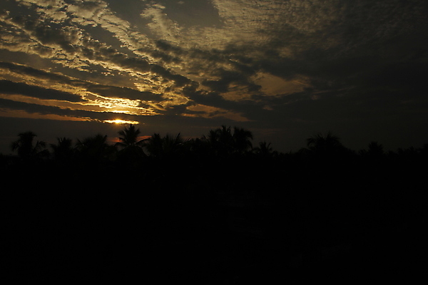 포토 JPG 해외이미지 공원 파도 여행 백그라운드 오렌지 자연 벽지 하늘 아침 날씨 휴가 산 파노라마 사람없음 야외 빨간색 물 빛 세트 태양 뷰티 반사 일출 맑음 보라색 일몰 낭만 광선 황금 저녁 순수 열정 장면 태평양 천국 수평선 해외포토 주간 자연요소 공공시설 감정 바다 컬러 컨셉 과일 촬영기법 노을 야간 생태계 파일형식 이미지허브