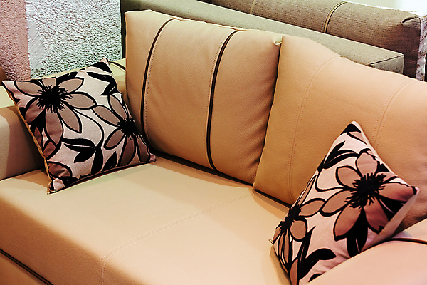 포토 JPG 해외이미지 모양 디자인 가구 백그라운드 쿠션 거실 패턴 의자 주택 앉기 사람없음 내부 장식 소파 컬러풀 갈색 유행 검은색 방 수확 덮개 흰색 클래식 고급 우아함 닫기 가죽 묘사 질감 복고 안락의자 리빙 옛날 스타일 해외포토 컬러 생활용품 컨셉 무늬 농업 모션 건물 뚜껑 파일형식 이미지허브