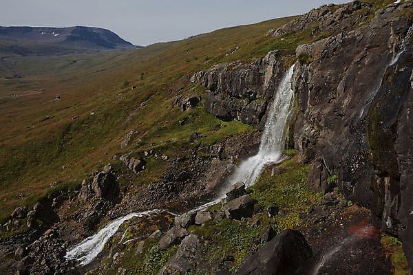 포토 JPG 해외이미지 공원 여행 백그라운드 모션 자연 하늘 추상 휴식 산 아이슬란드 사람없음 야외 초록색 물 강 햇빛 태양 환경 맑음 화목 폭포 촉촉함 흐름 신선 개울 급류 떨어짐 매끈함 시원함 순수 속도 질감 암초 내추럴 해외포토 자연요소 공공시설 유럽 컬러 컨셉 무늬 날씨 젖음 감각 생태계 파일형식 이미지허브