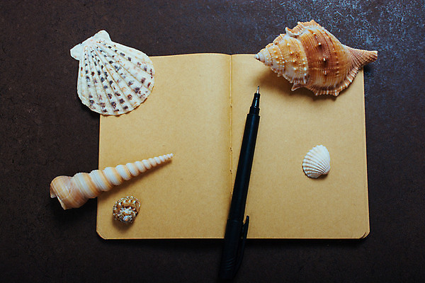 포토 JPG 해외이미지 템플릿 손 디자인 교육 종이 바다 백그라운드 컨셉 비즈니스 교실 학교 휴가 조개 아이디어 나선형 사람없음 책 사무실 펜 우주 다이어리 쪽지 교사 공책 공백 흰색 기록 잡기 가르침 메시지 편지지 오브젝트 교과서 문서 페이지 바인더 시트 패드 고립 해외포토 직업 컬러 무늬 모션 어패류 문구용품 교재 신체부위 필기구 사무용품 편지 파일형식 이미지허브