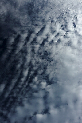 포토 JPG 해외이미지 계절 실루엣 모래 파도 바다 분홍색 섬 여행 자연 벽지 하늘 아침 휴가 휴식 사람없음 목재 빨간색 초록색 물 빛 햇빛 태양 여행객 일출 맑음 일몰 새벽 꿈 나뭇가지 저녁 큼 내추럴 이국적 파라다이스 수평선 해외포토 주간 자연요소 나무 컬러 컨셉 재료 날씨 촬영기법 사람 노을 야간 크기 생태계 파일형식 이미지허브