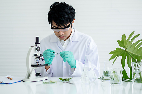 포토 JPG 해외이미지 식물 손 꽃 산업 과학 백그라운드 컨셉 농업 자연 유리 건강 실험 한명 초록색 약 성장 액체 실험실 생명공학 허브 과학자 분석 유기농 생물학 향기 유리그릇 튜브 아로마테라피 공학 조제 개발 신발장 유전 화학물질 해외포토 직업 1 그릇 웰빙 교육 컬러 의학 재질 사람 신체부위 화학 생태계 냄새 만들기 테라피 학자 파일형식 이미지허브