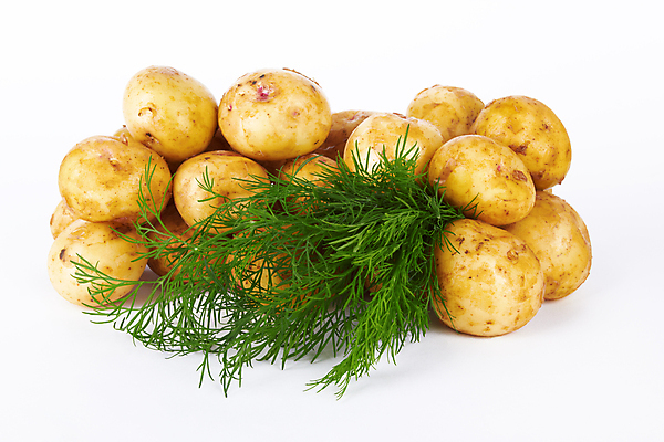 포토 JPG 해외이미지 감자 실내 사람없음 여러개 흰배경 해외포토 다수 백그라운드 채소 내부 흰색 파일형식 이미지허브