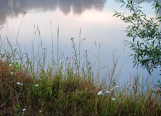 포토 JPG 해외이미지 식물 계절 공원 꽃 호수 백그라운드 잎 꽃무늬 밭 자연 하늘 날씨 미술 잔디 사람없음 야외 초록색 물 파란색 강 반사 맑음 봄 시골 클로버 생태학 카피스페이스 해외포토 자연요소 공공시설 교육 컬러 무늬 농업 문화예술 공백 생태계 파일형식 이미지허브