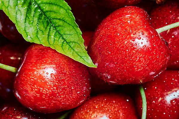 포토 JPG 해외이미지 식물 열매 음식 백그라운드 잎 패턴 농업 과일 자연 디저트 건강 사람없음 빨간색 여름 컬러풀 정원 식사 젖음 수확 신선 체리 달콤 맛 떨어짐 먹기 유기농 잔치 진홍색 비타민 흙더미 내추럴 강렬 숙성 채식주의자 맛있는 해외포토 웰빙 계절 산업 컬러 컨셉 무늬 모션 흙 생태계 채식 영양소 파일형식 더미 이미지허브