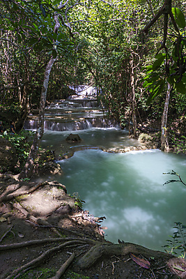 포토 JPG 해외이미지 나무 식물 공원 여행 잎 태국 자연 이끼 사람없음 목재 초록색 물 강 뷰티 폭포 젖음 흐름 신선 개울 숲 수분 뿌리 내추럴 양치류 해외포토 자연요소 공공시설 아시아 컬러 컨셉 재료 생태계 파일형식 이미지허브