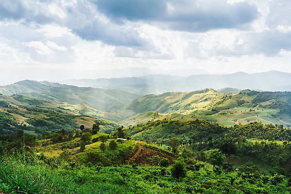 포토 JPG 해외이미지 나무 바다 백그라운드 자연 탁자 하늘 추상 산 바닥 풍경 사람없음 야외 목재 초록색 물 여름 파란색 태양 우주 정원 봄 산책로 가을 널 정상 숲 갑판 단상 내추럴 수목 수평선 해외포토 자연요소 식물 계절 길 컬러 가구 무늬 배_교통 재료 생태계 파일형식 이미지허브