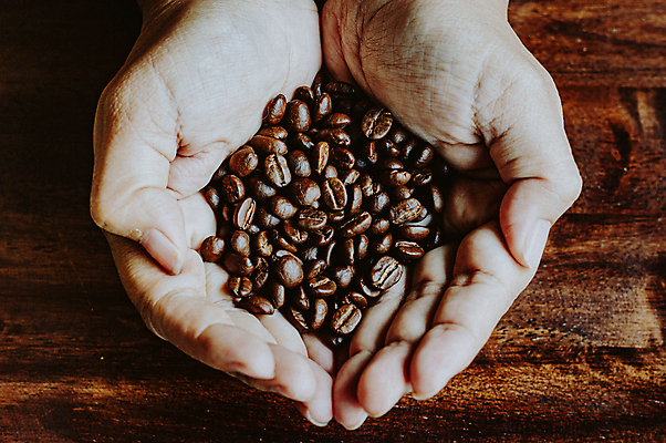 포토 JPG 해외이미지 손 커피 음료 음식 백그라운드 컨셉 농업 재료 콩 관리 씨앗 사람없음 농작물 갈색 검은색 어둠 카페 에너지 수확 하트 신선 그룹 아침식사 낟알 굽기 묘사 유기농 질감 아로마 에스프레소 내추럴 모카 블러 아라비카 카페인 해외포토 모양 식물 웰빙 산업 컬러 곡류 신체부위 상점 식사 구이 파일형식 이미지허브