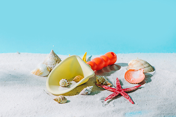 포토 JPG 해외이미지 모래 여행 불가사리 실내 사람없음 조개껍데기 소라 파란배경 모래삽 해외포토 백그라운드 조개 어패류 극피동물 내부 파란색 삽 파일형식 이미지허브