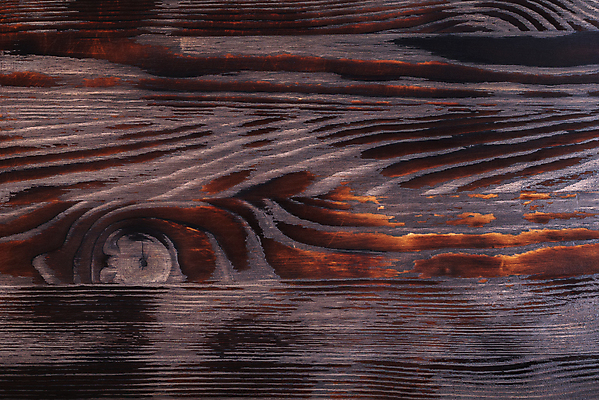 포토 JPG 해외이미지 벽 백그라운드 패턴 자연 벽지 탁자 표면 날씨 추상 바닥 사람없음 목재 장식 갈색 노란색 어둠 수확 골동품 소나무 판넬 거친 널 낟알 고민 질감 복고 매듭 내추럴 그런지 수목 옛날 노화 세련 해외포토 나무 감정 컬러 가구 컨셉 무늬 농업 재료 생태계 파일형식 이미지허브